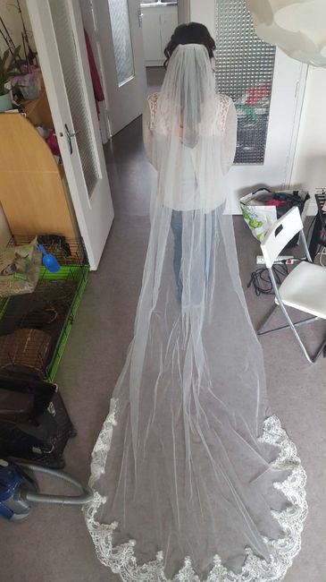 ----------------------------