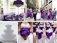 ----------------------------