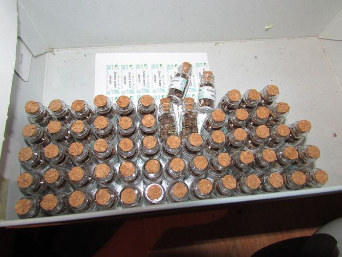 ----------------------------