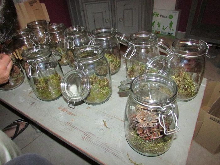 ------------------------------