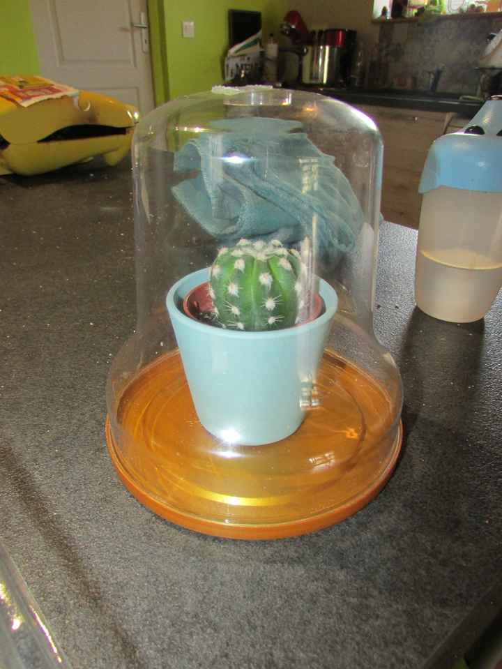 Plus qu'a rajouter une guirlande led (et il n'y aura pas le pot je pense)