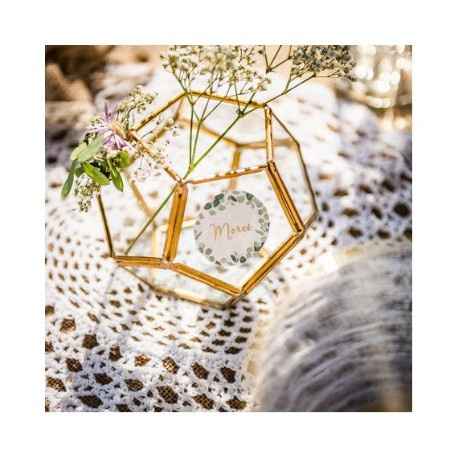 ------------------------------