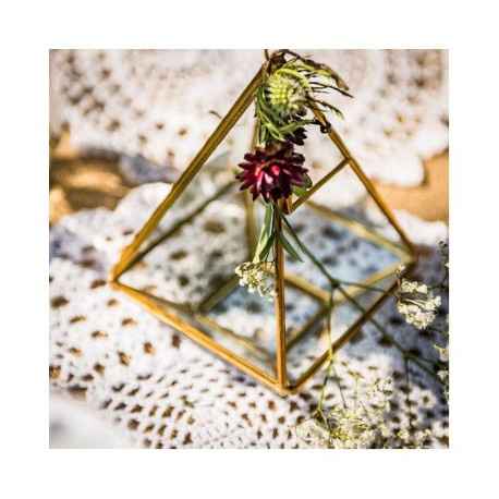 ----------------------------