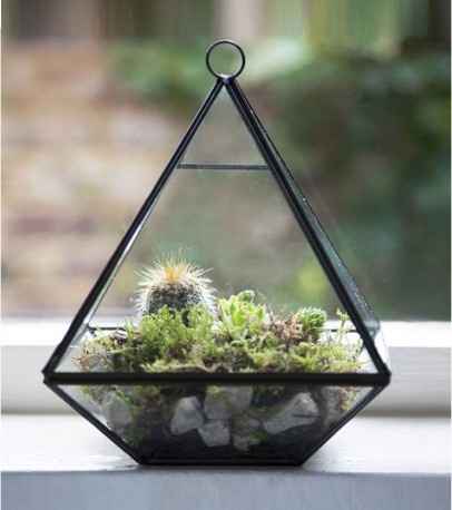 --------------------