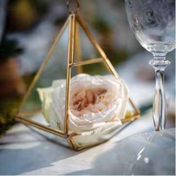 --------------------