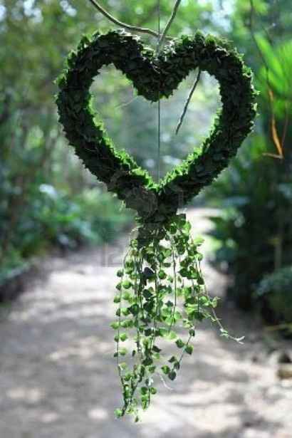 -----------------------------------------