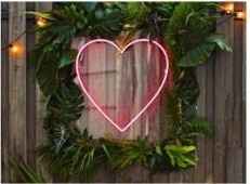 ----------------------------------------