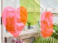 ---------------------------------------