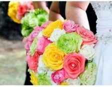 -----------------------------------------