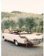 ----------------------------