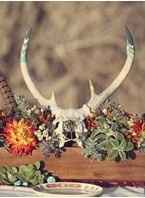 --------------------