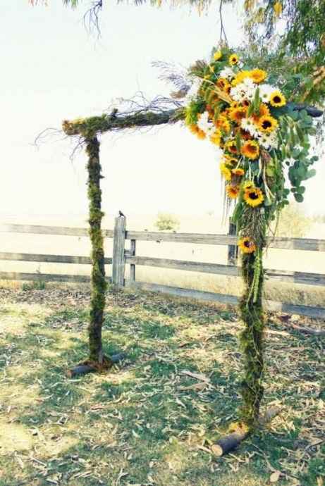 ----------------------------