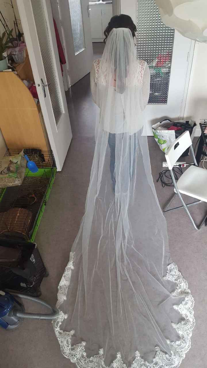 ----------------------------