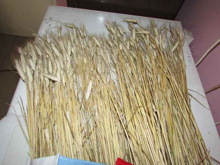 Ca remplira mes pots à lait et les 1er banc de l'église !