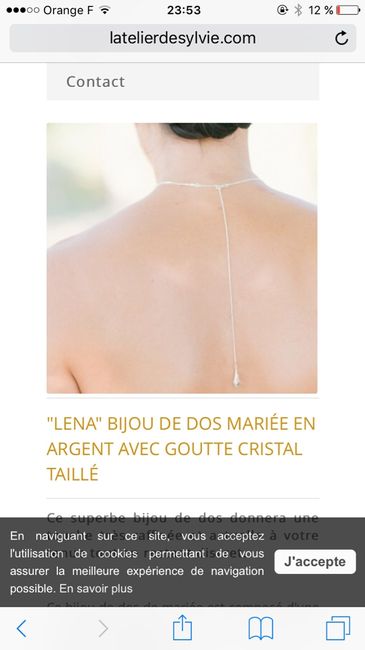 Tentée par le bijou de dos - 2