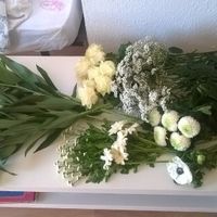 flower box blanche fleursenligne.fr