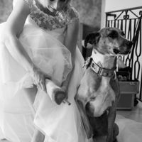 "Il se trame quelque chose.."