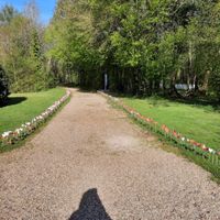 Mariée depuis le 16 avril - 2