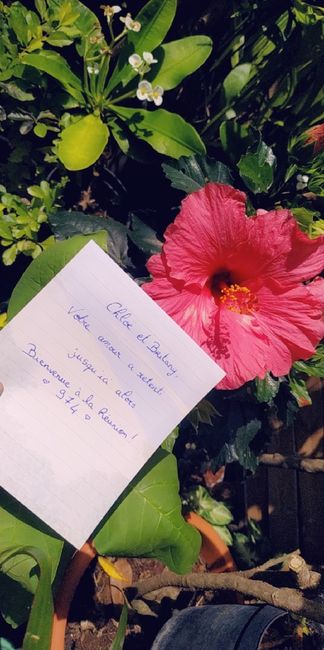 Love notes, encore et toujours ! - 1