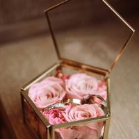 2 porte-alliances, 1 vote : Lequel tu préfères ? - 1