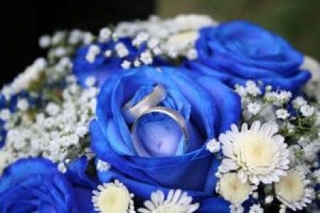 mariage bleu et blanc