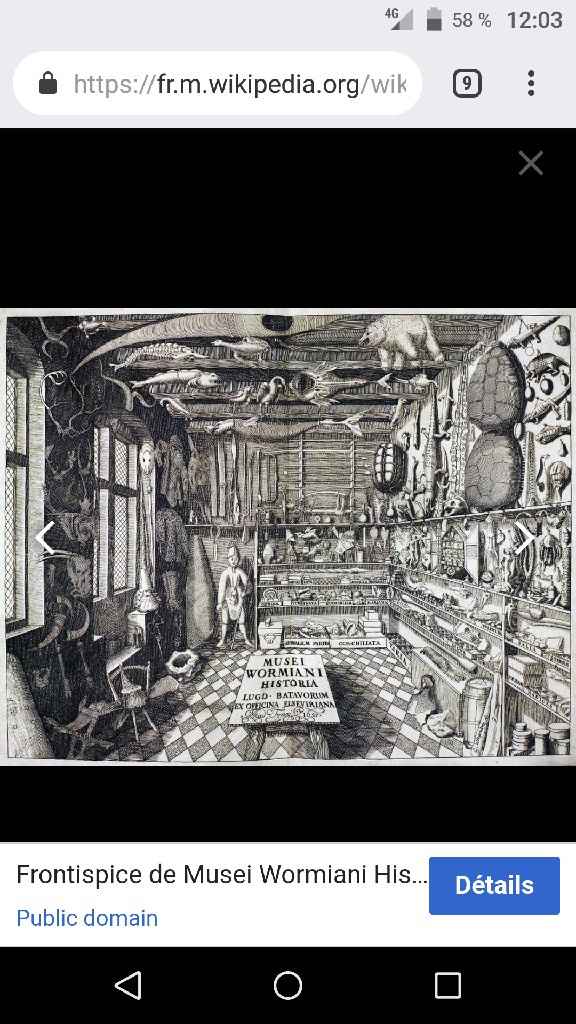 Cabinet de curiosités - 1