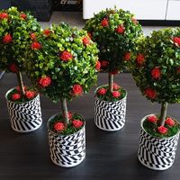 J- 5 deco enfin finit... - 1