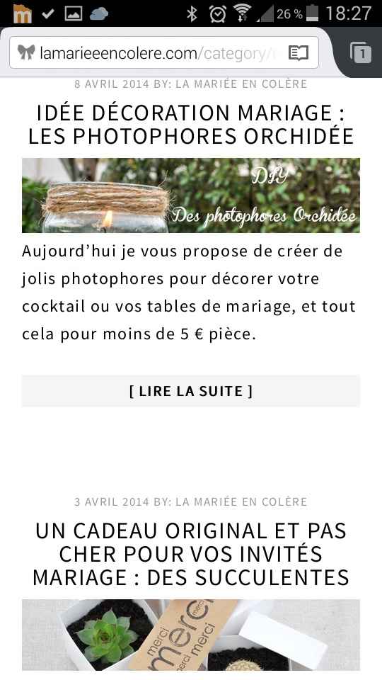 Premier ponpon de tulle - 1