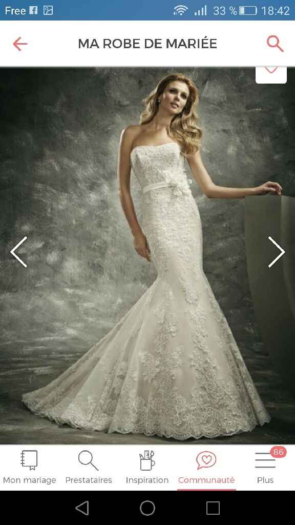 Demain réception de ma robe !!! - 1