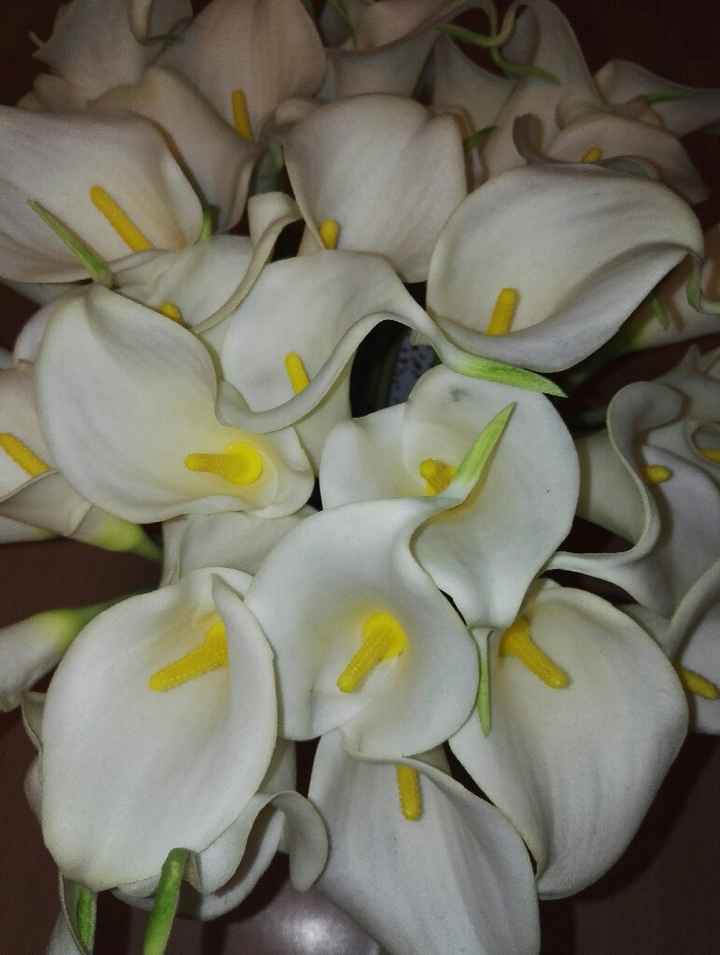 Arums commandés a Aliexpress