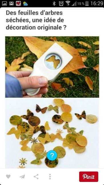 Deco nature - 1