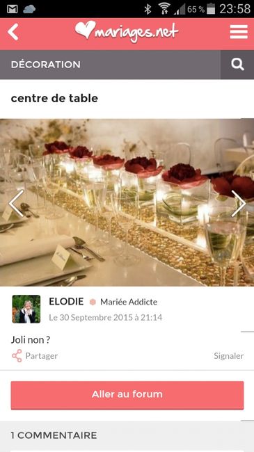 Les mariées de juin 2016 vous êtes où? - 6