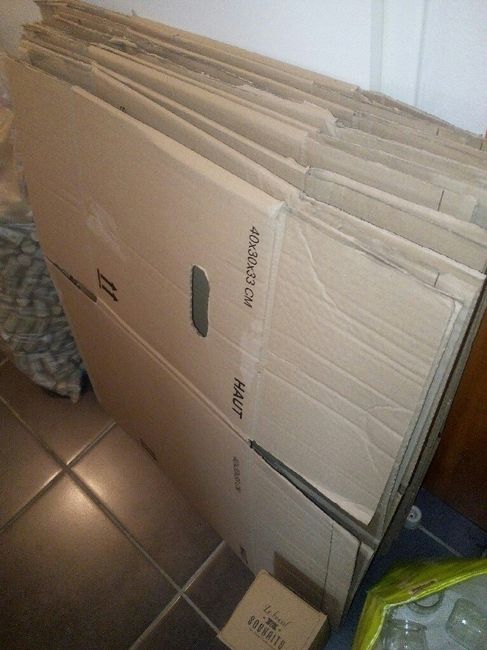  La collecte commence ! - 3