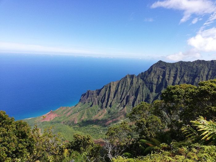 Vdn hawai - 3