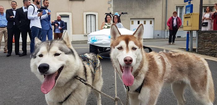 Arrivée en chien de traîneau 1