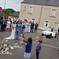 Arrivée en chien de traîneau - 2