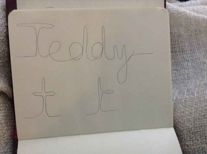 essai ecriture teddy 