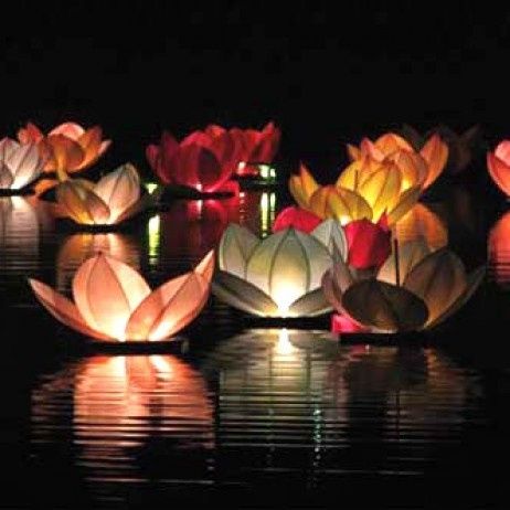 Lanternes flottantes fleurs Lotus