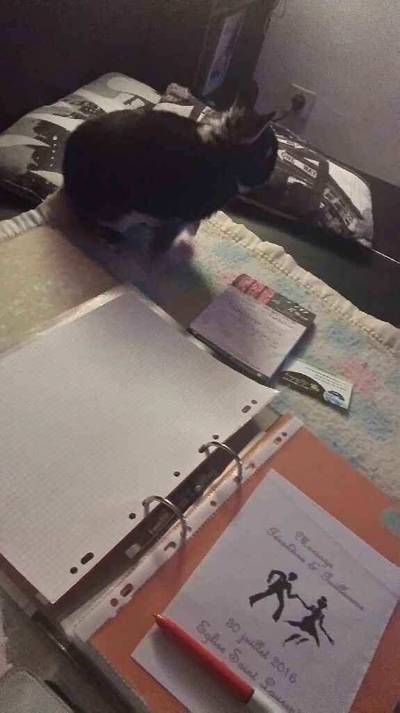 Mon assistant du soir - 1