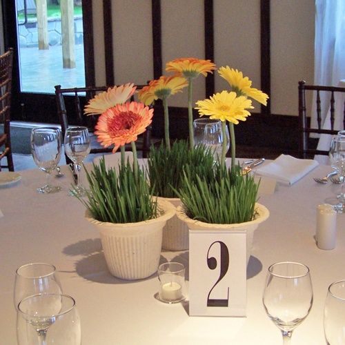 Les coups de coeur  et mon inspiration pour ma décoration - 2