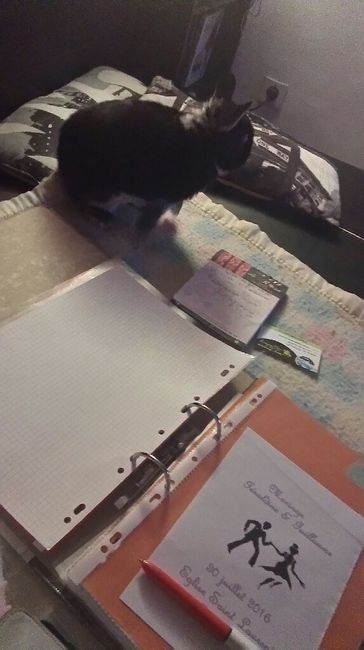Mon assistant du soir - 1