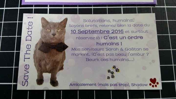 Save the date aimanté avec notre chat Shadow