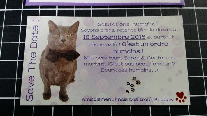 Save the date aimanté avec notre chat Shadow