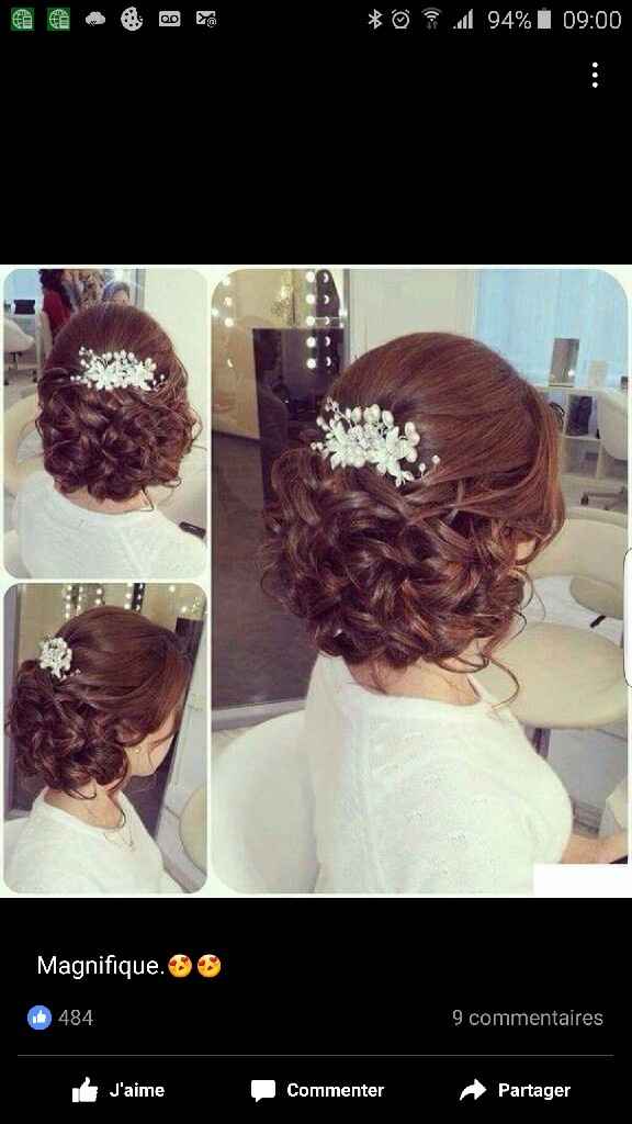 Chignon - 2