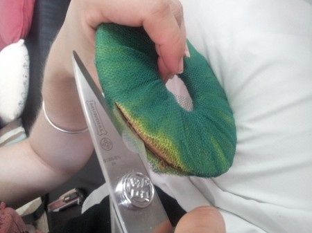 pompons bicolore vert