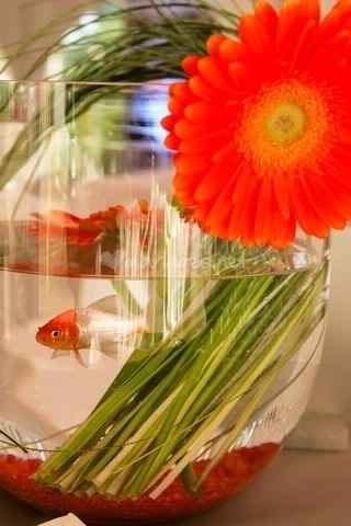 centre de table aquarium