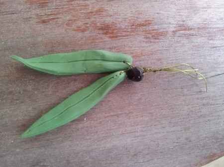 Mariage sur le thème des oliviers - 2