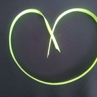 pompon bicolore vert