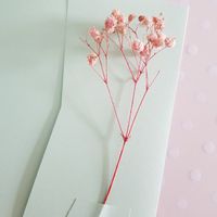 Recommandation papier unis et papier a pois ou autres motifs couleur vert d eau - 1