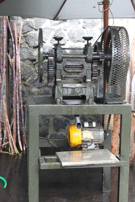Sortie visite guidée avec notre guide particulier, machine canne à sucre